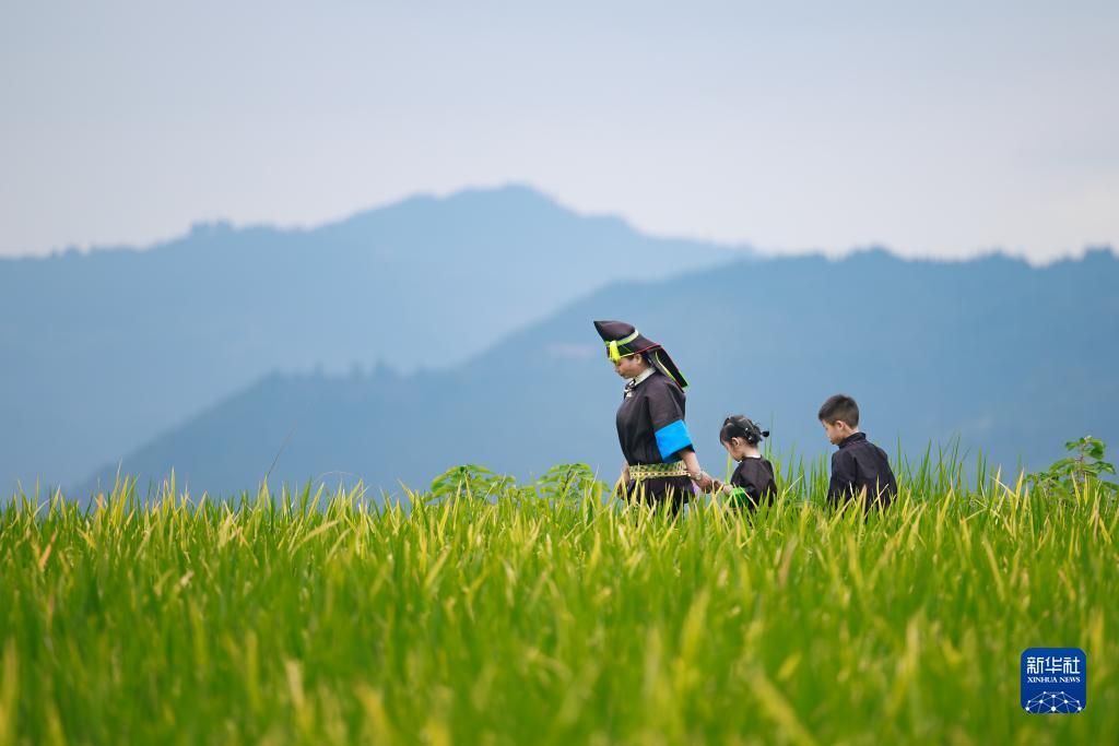 海洋之神登陆